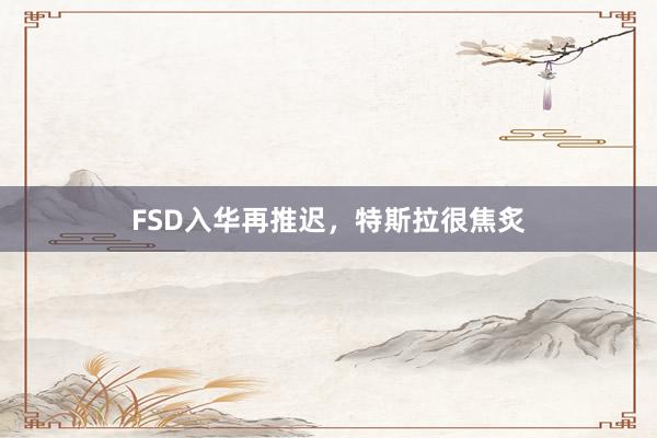 FSD入华再推迟，特斯拉很焦炙